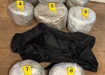 Policia arreston dy persona dhe konfiskon 53 kilogramë marihuanë, vlera rreth 80 mijë euro