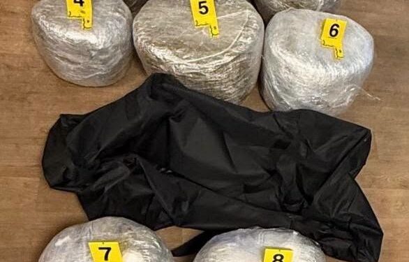 Policia arreston dy persona dhe konfiskon 53 kilogramë marihuanë, vlera rreth 80 mijë euro